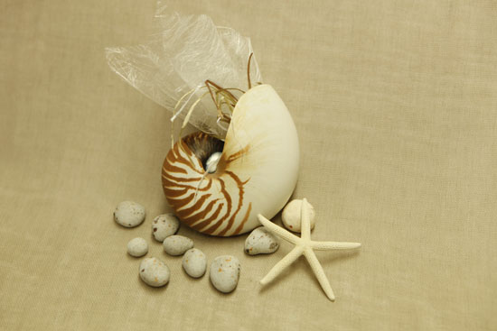 bomboniera koxyli