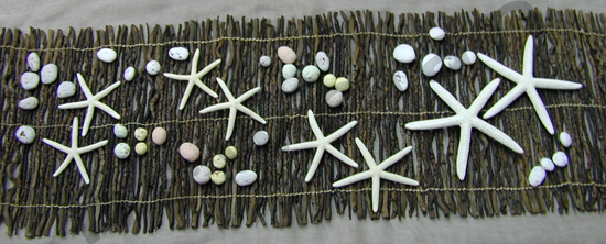 asteries finger starfish