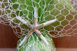 DSC01776 bomboniera dixty 091498 organza 221805 asterias fysikos 230097 k motif 290101 image