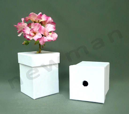 DSC03176 flower box copy