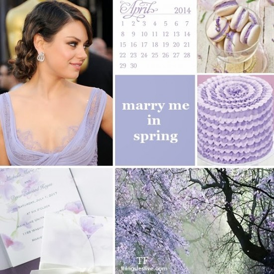 violet tulip 013