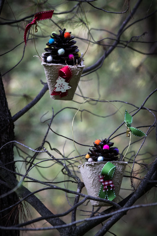 xmas pinecones trees