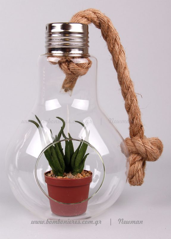 glompos laptiras terrarium