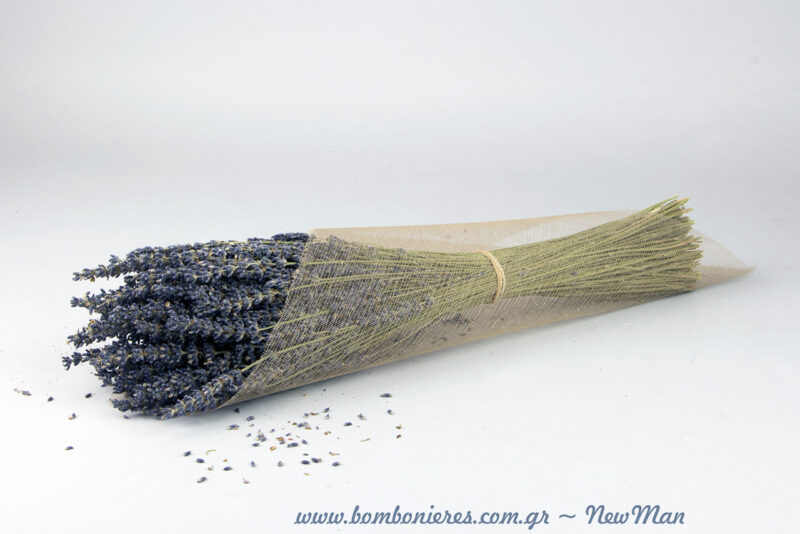 Apoksirameni levanta Dark Blue Special (matso Gallias).